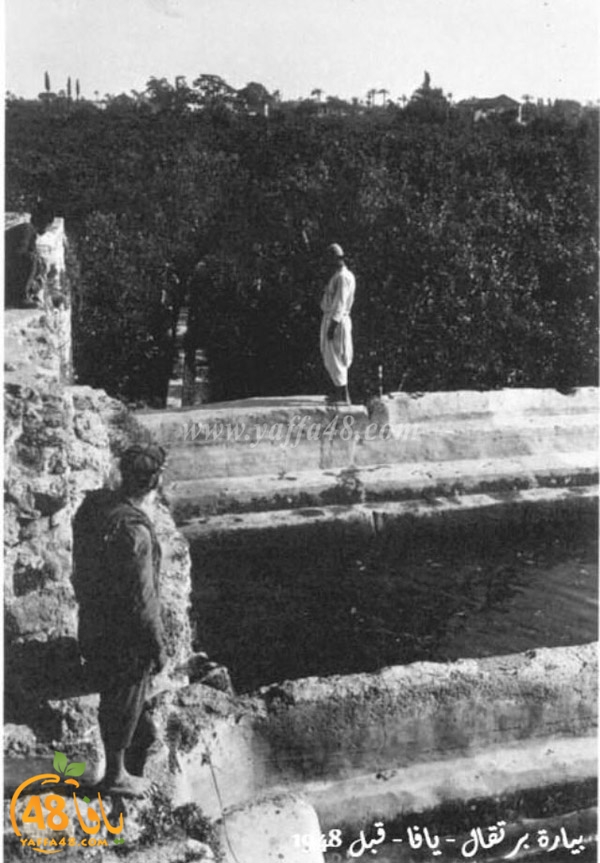yaffa old 1934 (14).jpg